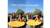 POV: You just started the TFD grad scheme